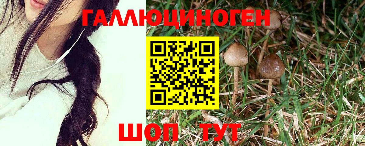 Ханты-Мансийск  Псилоцибиновые грибы Psilocybine cubensis  Галлюциногенные грибы Psilocybe  Вход с VPN 