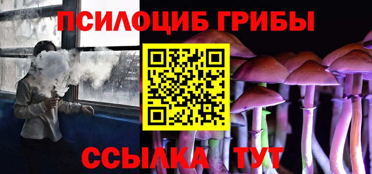 Галлюциногенные грибы Psilocybe Ханты-Мансийск